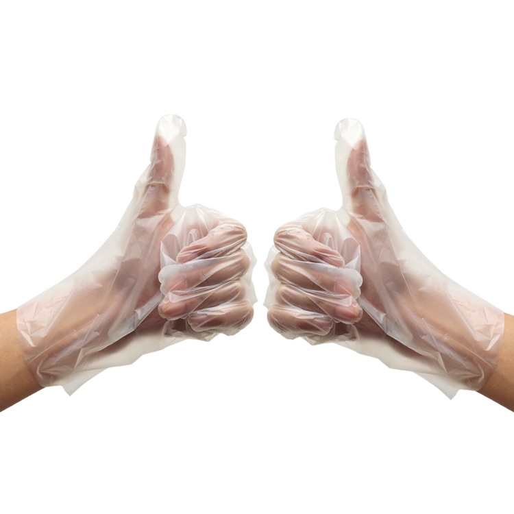 Are All Compostable Gloves Suppliers the Same? What You Need to Know?